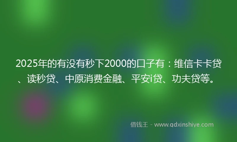 2025年的有没有秒下2000的口子有：维信卡卡贷、读秒贷、中原消费金融、平安i贷、功夫贷等。