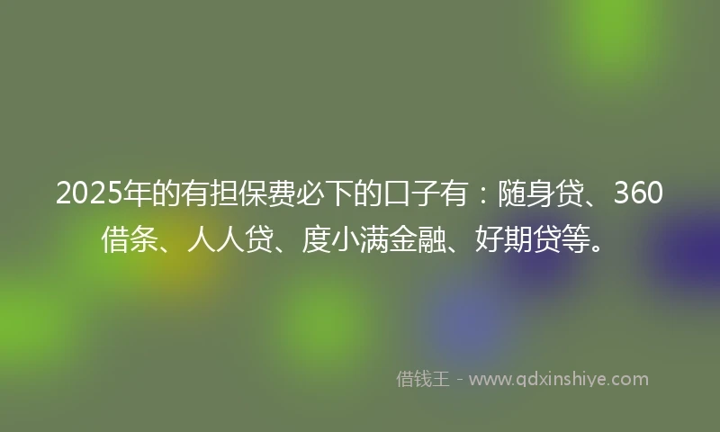 2025年的有担保费必下的口子有：随身贷、360借条、人人贷、度小满金融、好期贷等。