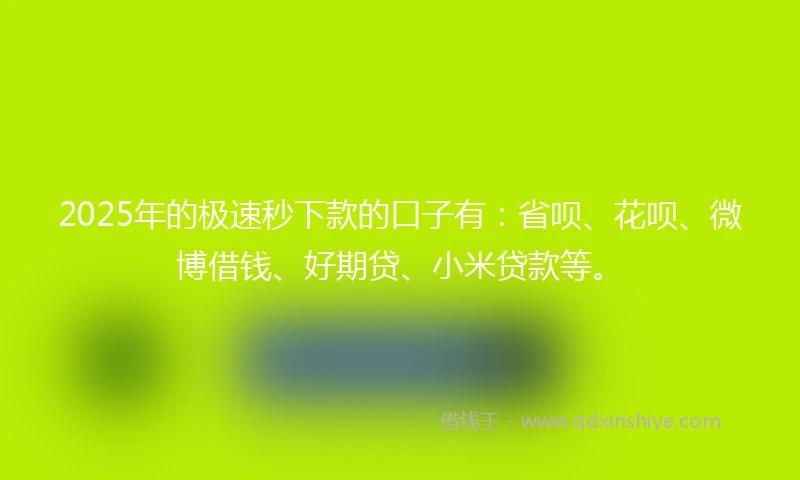 2025年的极速秒下款的口子有：省呗、花呗、微博借钱、好期贷、小米贷款等。