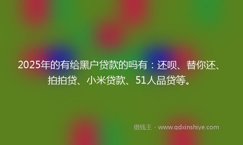 2025年的有给黑户贷款的吗有：还呗、替你还、拍拍贷、小米贷款、51人品贷等。