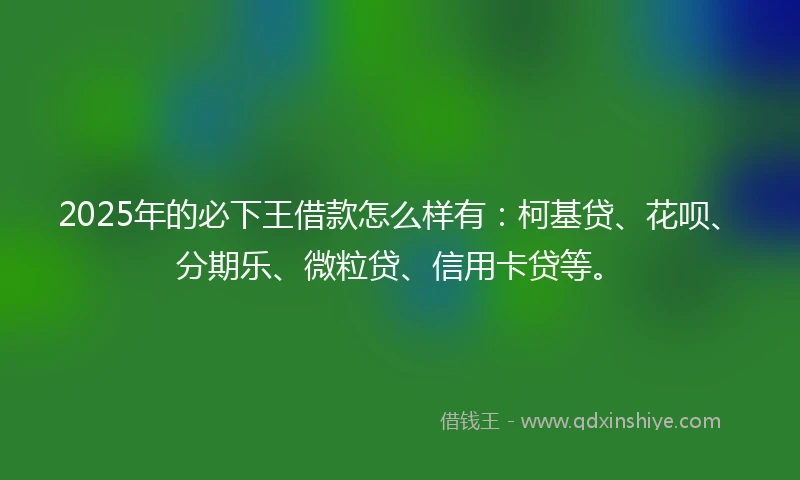 2025年的必下王借款怎么样有：柯基贷、花呗、分期乐、微粒贷、信用卡贷等。