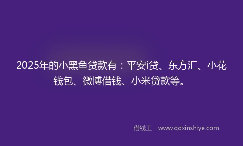 2025年的小黑鱼贷款有：平安i贷、东方汇、小花钱包、微博借钱、小米贷款等。