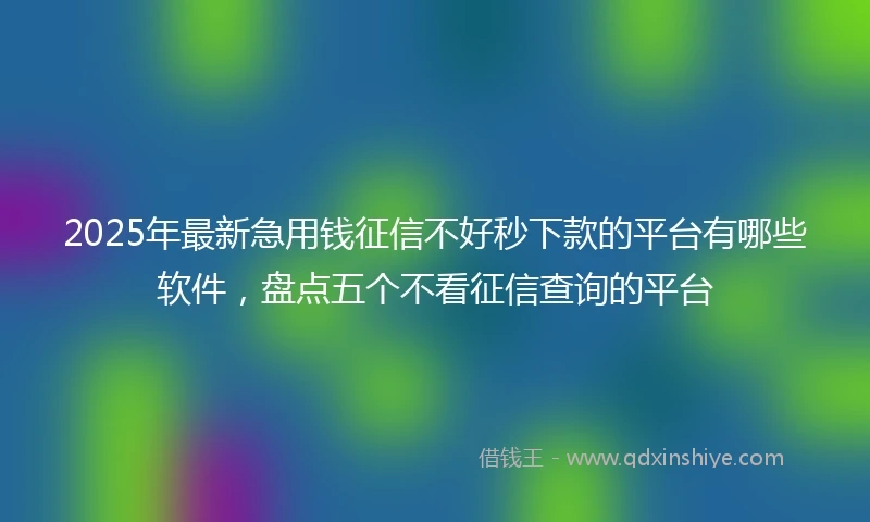 2025年最新急用钱征信不好秒下款的平台有哪些软件，盘点五个不看征信查询的平台