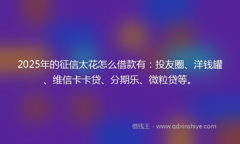 2025年的征信太花怎么借款有：投友圈、洋钱罐、维信卡卡贷、分期乐、微粒贷等。