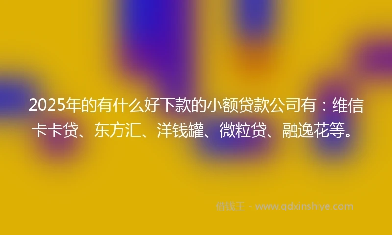 2025年的有什么好下款的小额贷款公司有：维信卡卡贷、东方汇、洋钱罐、微粒贷、融逸花等。