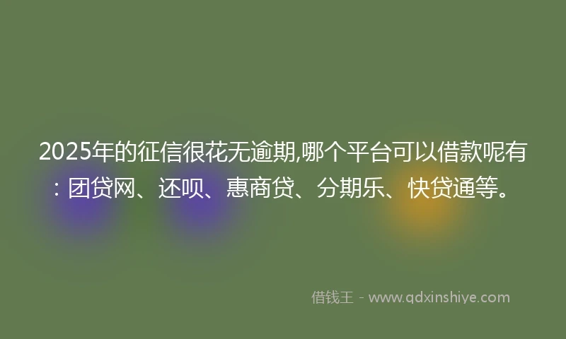 2025年的征信很花无逾期,哪个平台可以借款呢有:团贷网、还呗、惠商贷、分期乐、快贷通等。