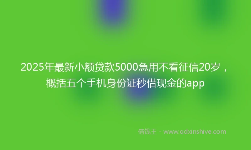 2025年最新小额贷款5000急用不看征信20岁，概括五个手机身份证秒借现金的app