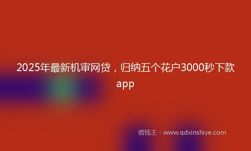 2025年最新机审网贷，归纳五个花户3000秒下款app