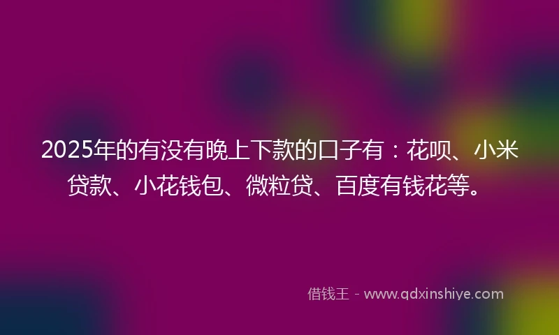 2025年的有没有晚上下款的口子有：花呗、小米贷款、小花钱包、微粒贷、百度有钱花等。