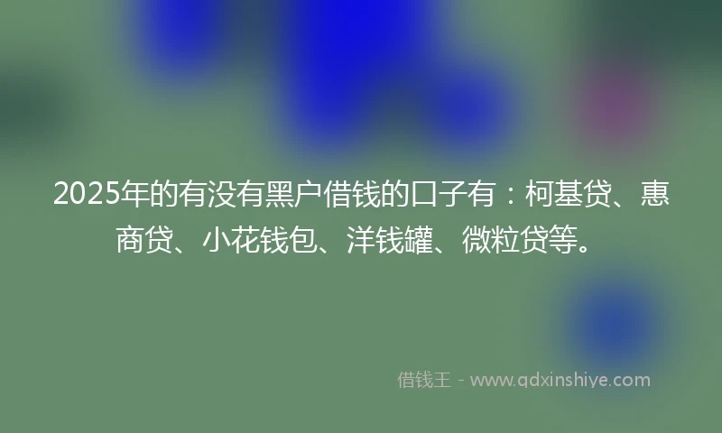 2025年的有没有黑户借钱的口子有：柯基贷、惠商贷、小花钱包、洋钱罐、微粒贷等。
