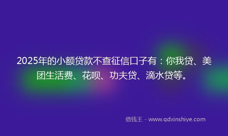 2025年的小额贷款不查征信口子有：你我贷、美团生活费、花呗、功夫贷、滴水贷等。