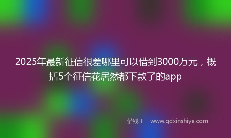 2025年最新征信很差哪里可以借到3000万元，概括5个征信花居然都下款了的app