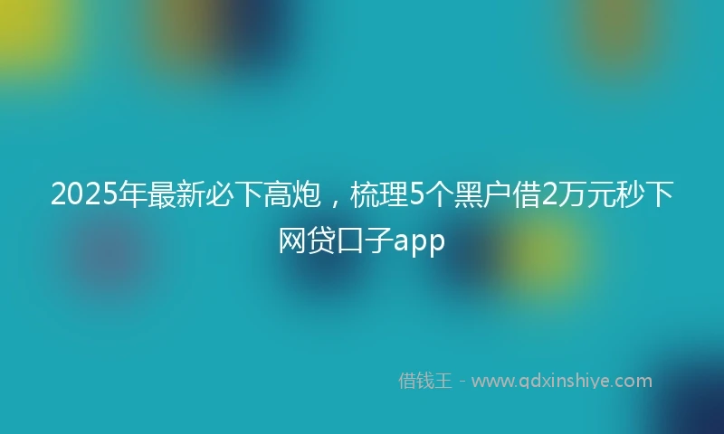 2025年最新必下高炮，梳理5个黑户借2万元秒下网贷口子app