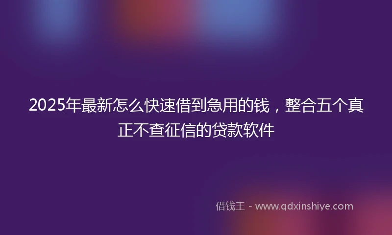 2025年最新怎么快速借到急用的钱，整合五个真正不查征信的贷款软件