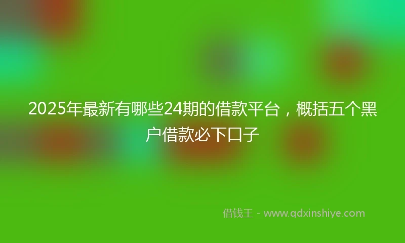 2025年最新有哪些24期的借款平台，概括五个黑户借款必下口子