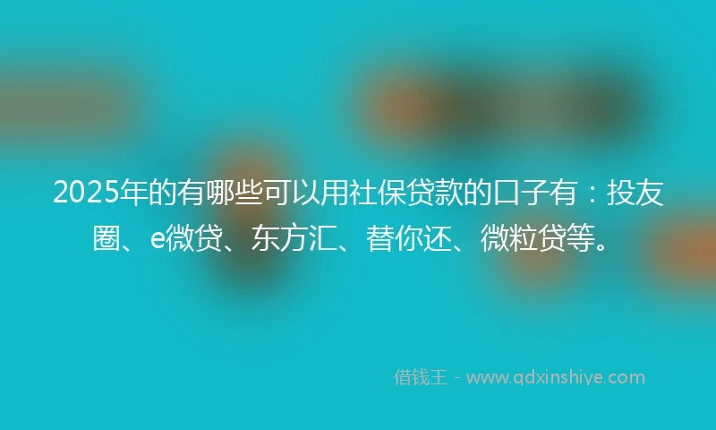 2025年的有哪些可以用社保贷款的口子有：投友圈、e微贷、东方汇、替你还、微粒贷等。