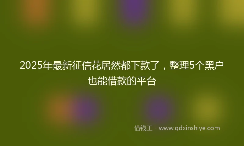 2025年最新征信花居然都下款了，整理5个黑户也能借款的平台