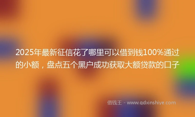 2025年最新征信花了哪里可以借到钱100%通过的小额，盘点五个黑户成功获取大额贷款的口子