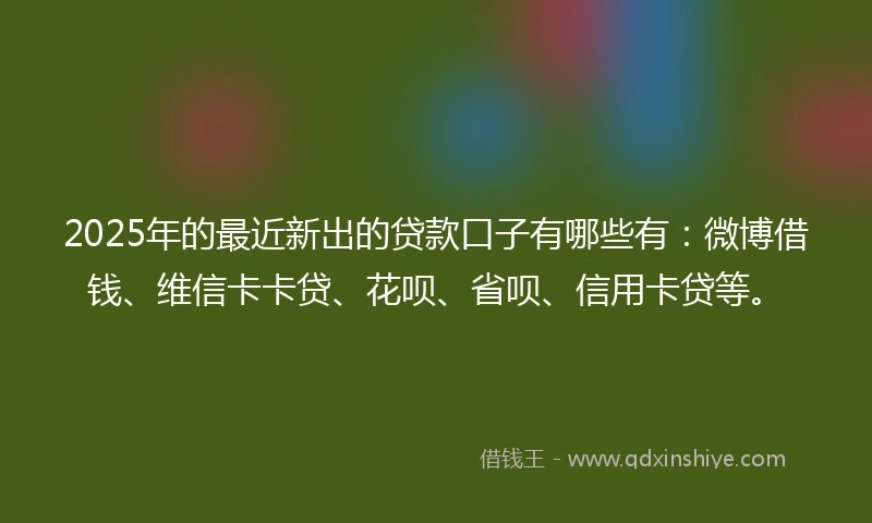 2025年的最近新出的贷款口子有哪些有：微博借钱、维信卡卡贷、花呗、省呗、信用卡贷等。