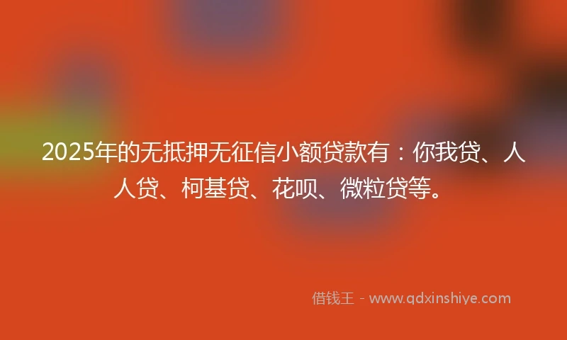 2025年的无抵押无征信小额贷款有：你我贷、人人贷、柯基贷、花呗、微粒贷等。