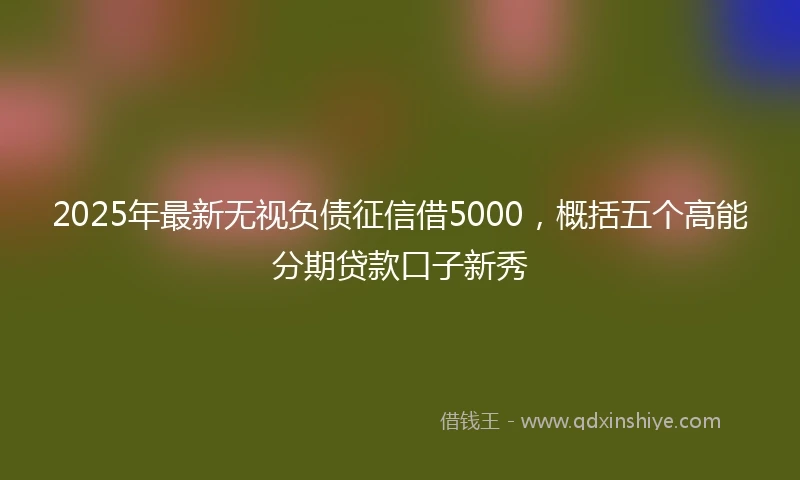 2025年最新无视负债征信借5000，概括五个高能分期贷款口子新秀