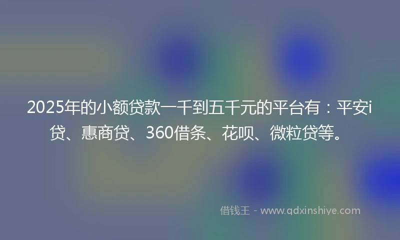 2025年的小额贷款一千到五千元的平台有：平安i贷、惠商贷、360借条、花呗、微粒贷等。