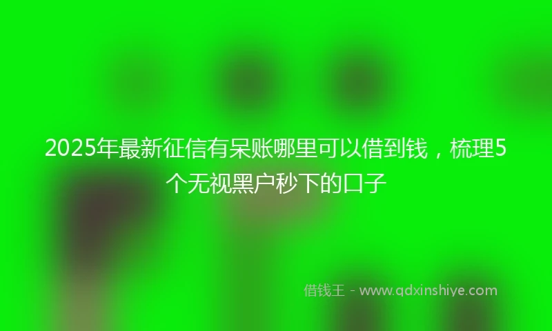 2025年最新征信有呆账哪里可以借到钱,梳理5个无视黑户秒下的口子