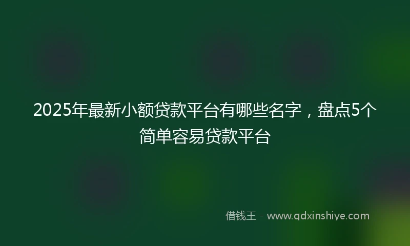 2025年最新小额贷款平台有哪些名字,盘点5个简单容易贷款平台