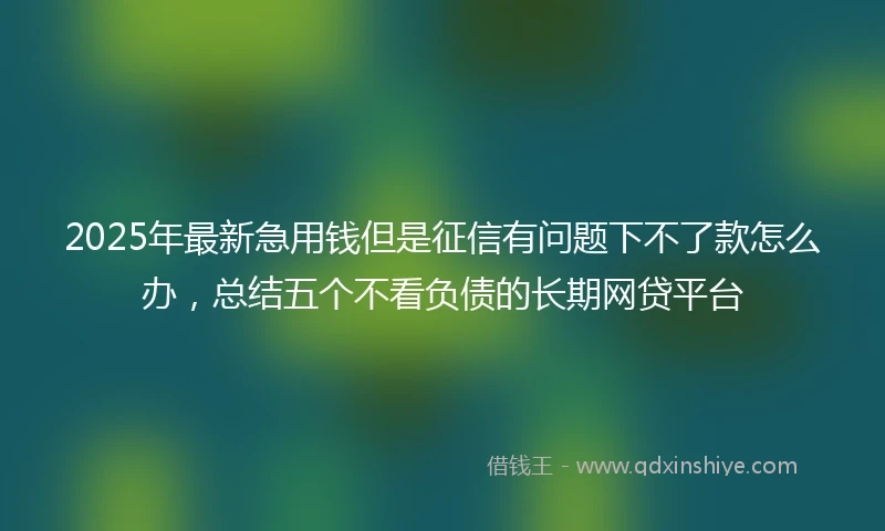 2025年最新急用钱但是征信有问题下不了款怎么办，总结五个不看负债的长期网贷平台