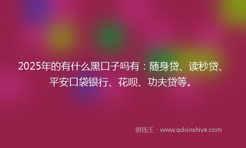 2025年的有什么黑口子吗有：随身贷、读秒贷、平安口袋银行、花呗、功夫贷等。