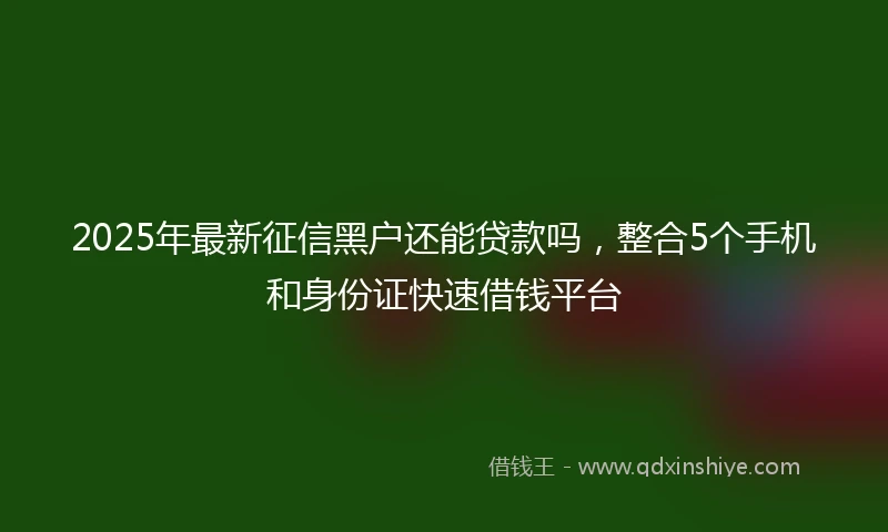 2025年最新征信黑户还能贷款吗，整合5个手机和身份证快速借钱平台