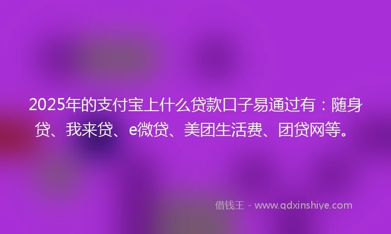 2025年的支付宝上什么贷款口子易通过有：随身贷、我来贷、e微贷、美团生活费、团贷网等。
