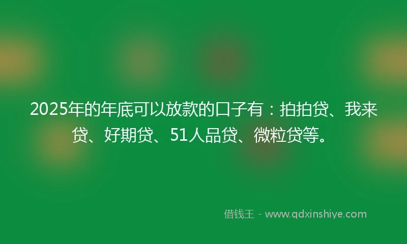 2025年的年底可以放款的口子有：拍拍贷、我来贷、好期贷、51人品贷、微粒贷等。