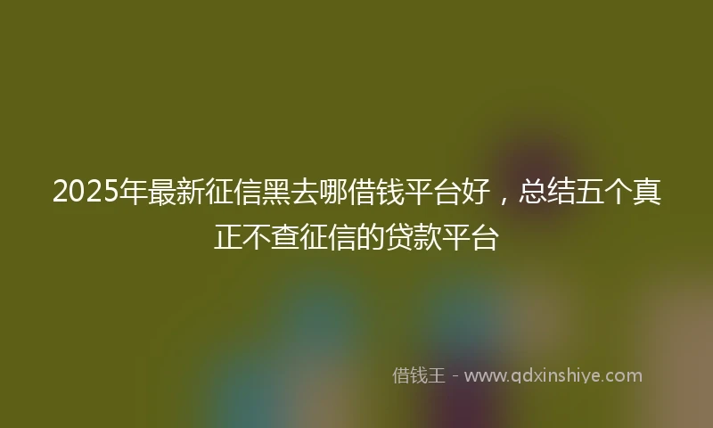 2025年最新征信黑去哪借钱平台好，总结五个真正不查征信的贷款平台
