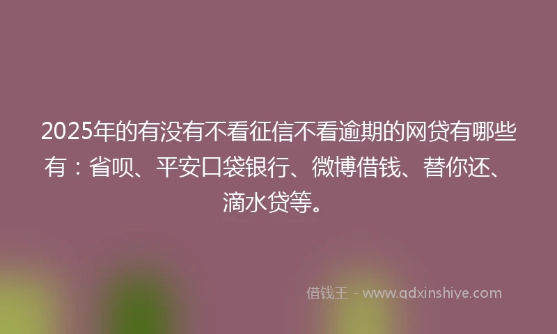2025年的有没有不看征信不看逾期的网贷有哪些有：省呗、平安口袋银行、微博借钱、替你还、滴水贷等。