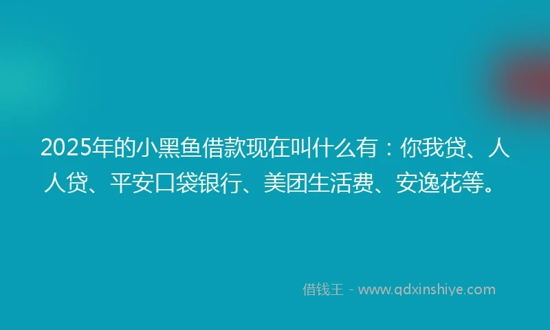 2025年的小黑鱼借款现在叫什么有：你我贷、人人贷、平安口袋银行、美团生活费、安逸花等。