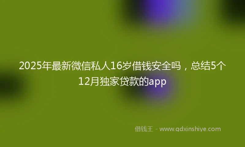 2025年最新微信私人16岁借钱安全吗，总结5个12月独家贷款的app