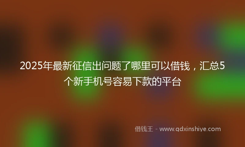2025年最新征信出问题了哪里可以借钱，汇总5个新手机号容易下款的平台