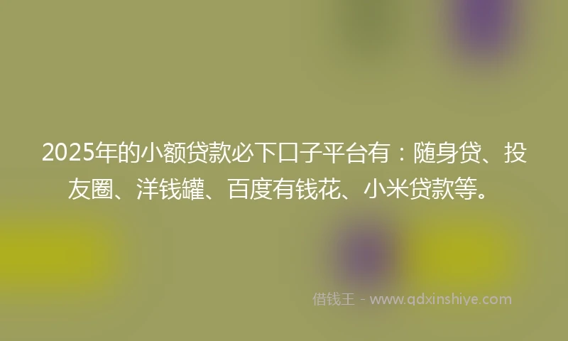 2025年的小额贷款必下口子平台有：随身贷、投友圈、洋钱罐、百度有钱花、小米贷款等。