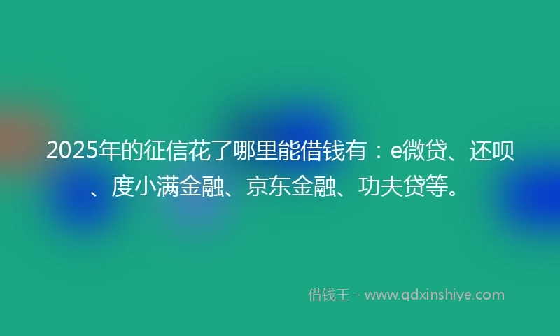 2025年的征信花了哪里能借钱有：e微贷、还呗、度小满金融、京东金融、功夫贷等。