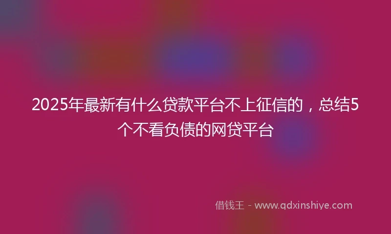 2025年最新有什么贷款平台不上征信的，总结5个不看负债的网贷平台
