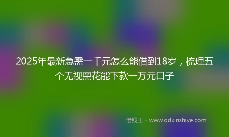 2025年最新急需一千元怎么能借到18岁，梳理五个无视黑花能下款一万元口子