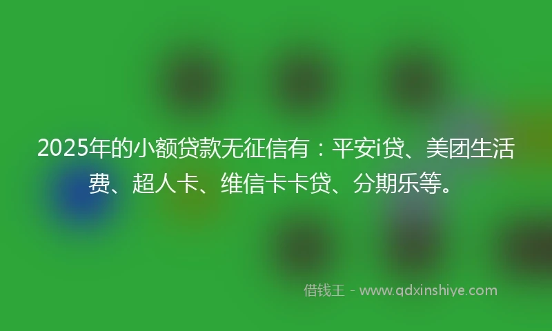 2025年的小额贷款无征信有:平安i贷、美团生活费、超人卡、维信卡卡贷、分期乐等。