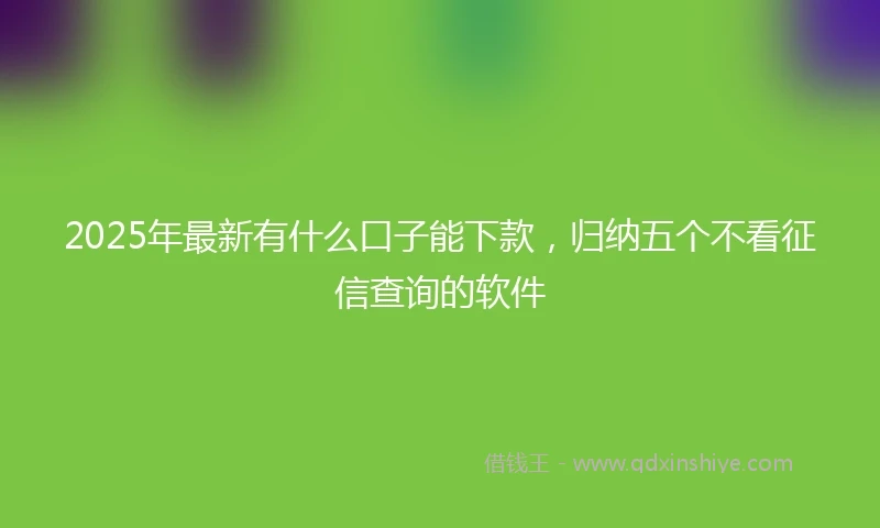 2025年最新有什么口子能下款，归纳五个不看征信查询的软件