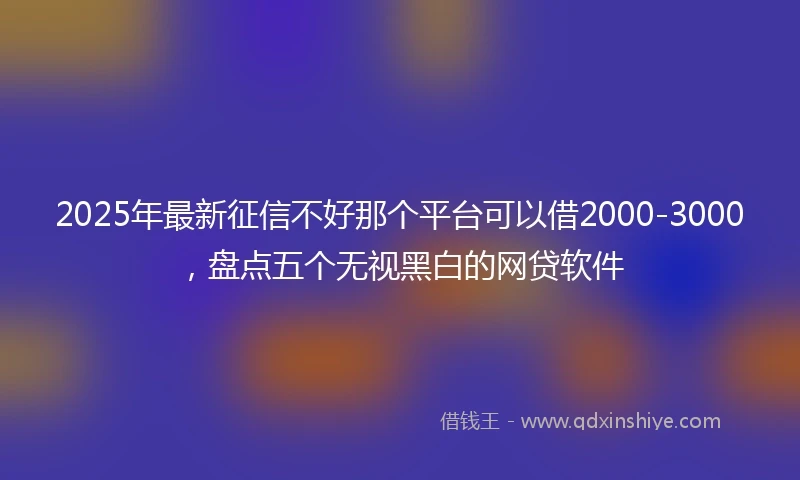 2025年最新征信不好那个平台可以借2000-3000,盘点五个无视黑白的网贷软件