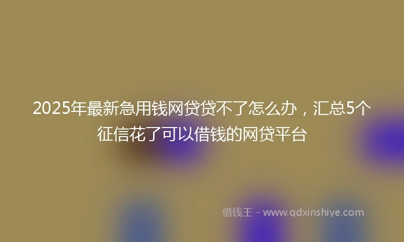 2025年最新急用钱网贷贷不了怎么办，汇总5个征信花了可以借钱的网贷平台