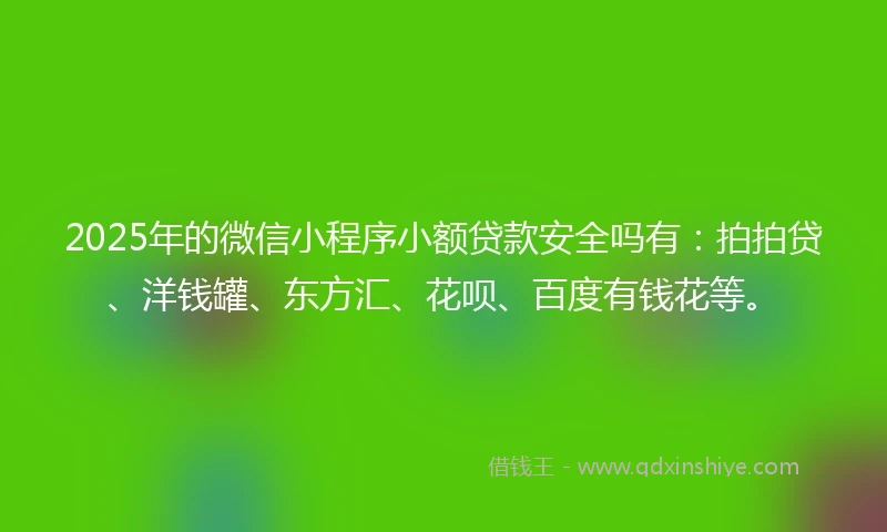2025年的微信小程序小额贷款安全吗有：拍拍贷、洋钱罐、东方汇、花呗、百度有钱花等。