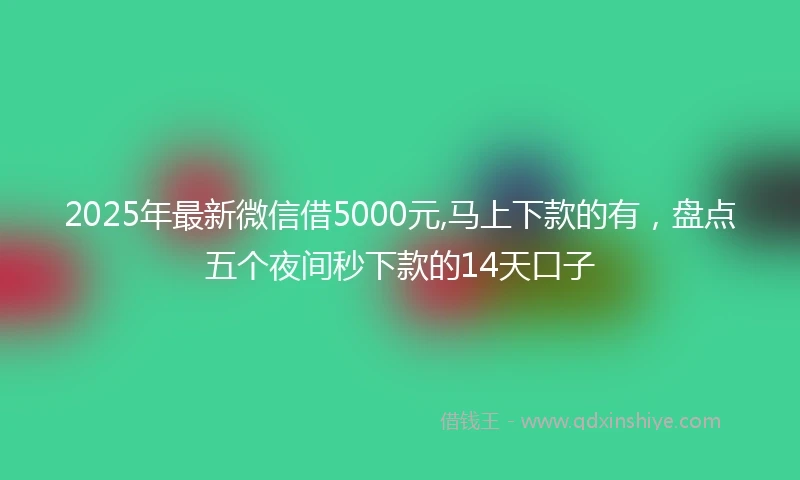 2025年最新微信借5000元,马上下款的有，盘点五个夜间秒下款的14天口子