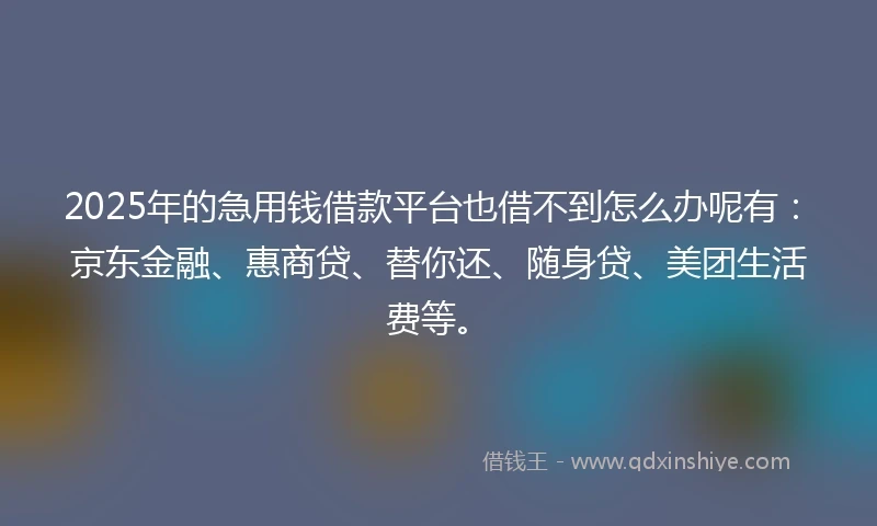 2025年的急用钱借款平台也借不到怎么办呢有：京东金融、惠商贷、替你还、随身贷、美团生活费等。