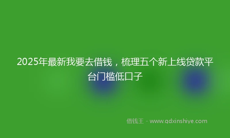2025年最新我要去借钱，梳理五个新上线贷款平台门槛低口子